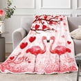 thumbnail image 1 of Valentines Throw Blanket, Valentine''s Day Red Pink Blankets and Throws, Romantic Flamingo Hearts Super Soft Warm Cozy Flannel Blankets for Bed Couch Sofa, 50 x 60 Inches, 1 of 6