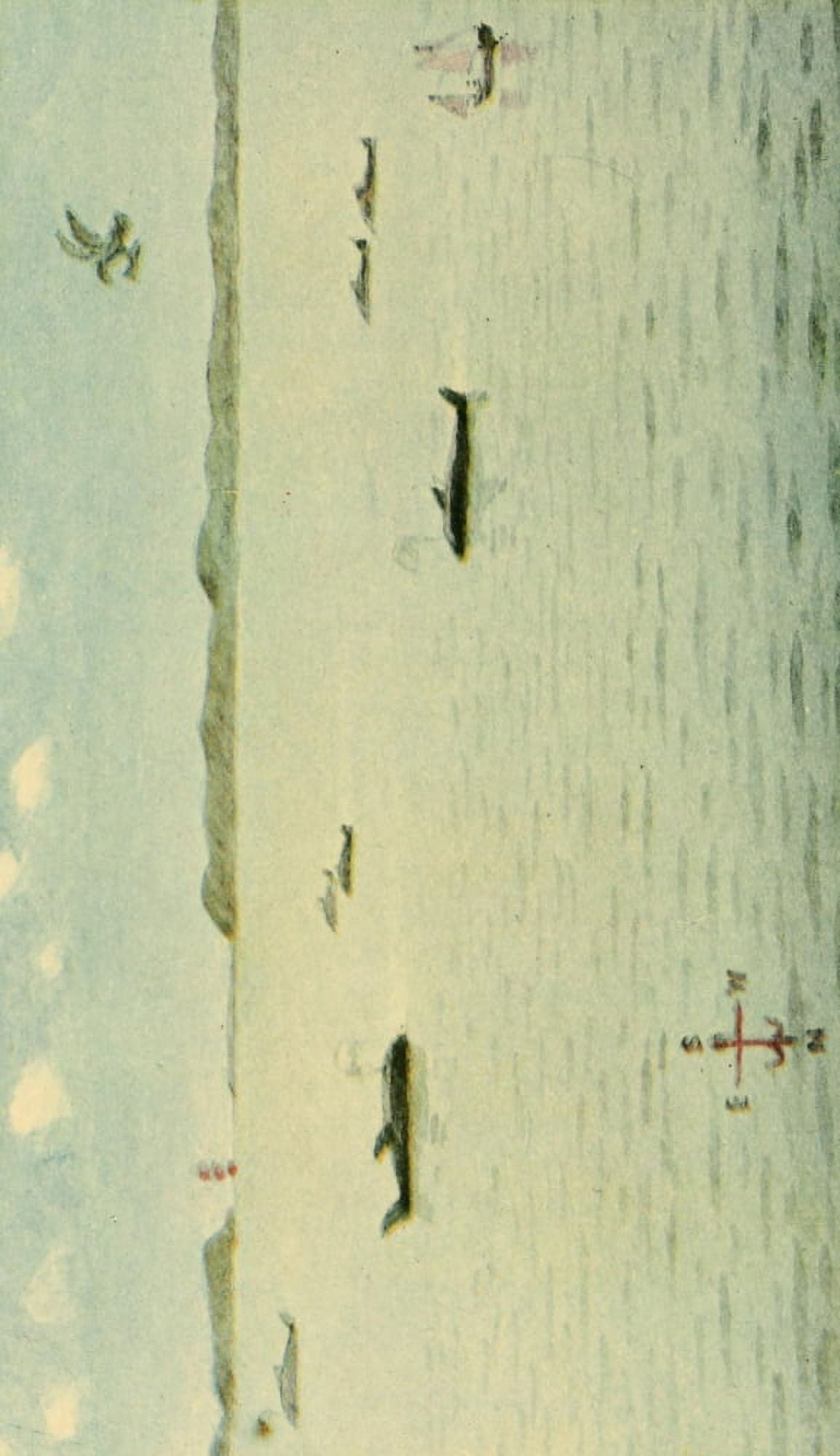 Valentines manual of old New York 1919 Whales at the mouth of the Hudson Canvas Art - Unknown (18 x 24)