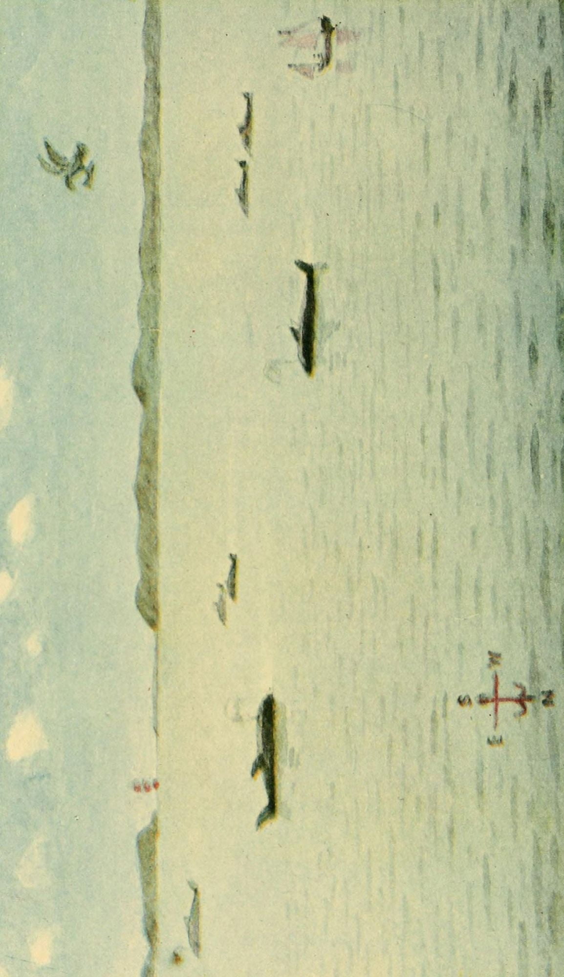 Valentines manual of old New York 1919 Whales at the mouth of the Hudson Canvas Art - Unknown (24 x 36)