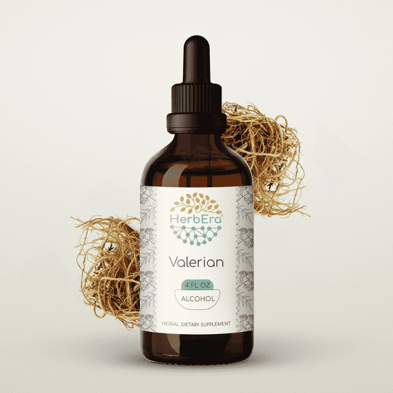 HerbEra Valerian Tincture, Herbal Dietary Supplement for Stress Support, Valerian (Valeriana officinalis) Dried Root Extract, Natural, Alcohol Tincture, Drops 4 oz