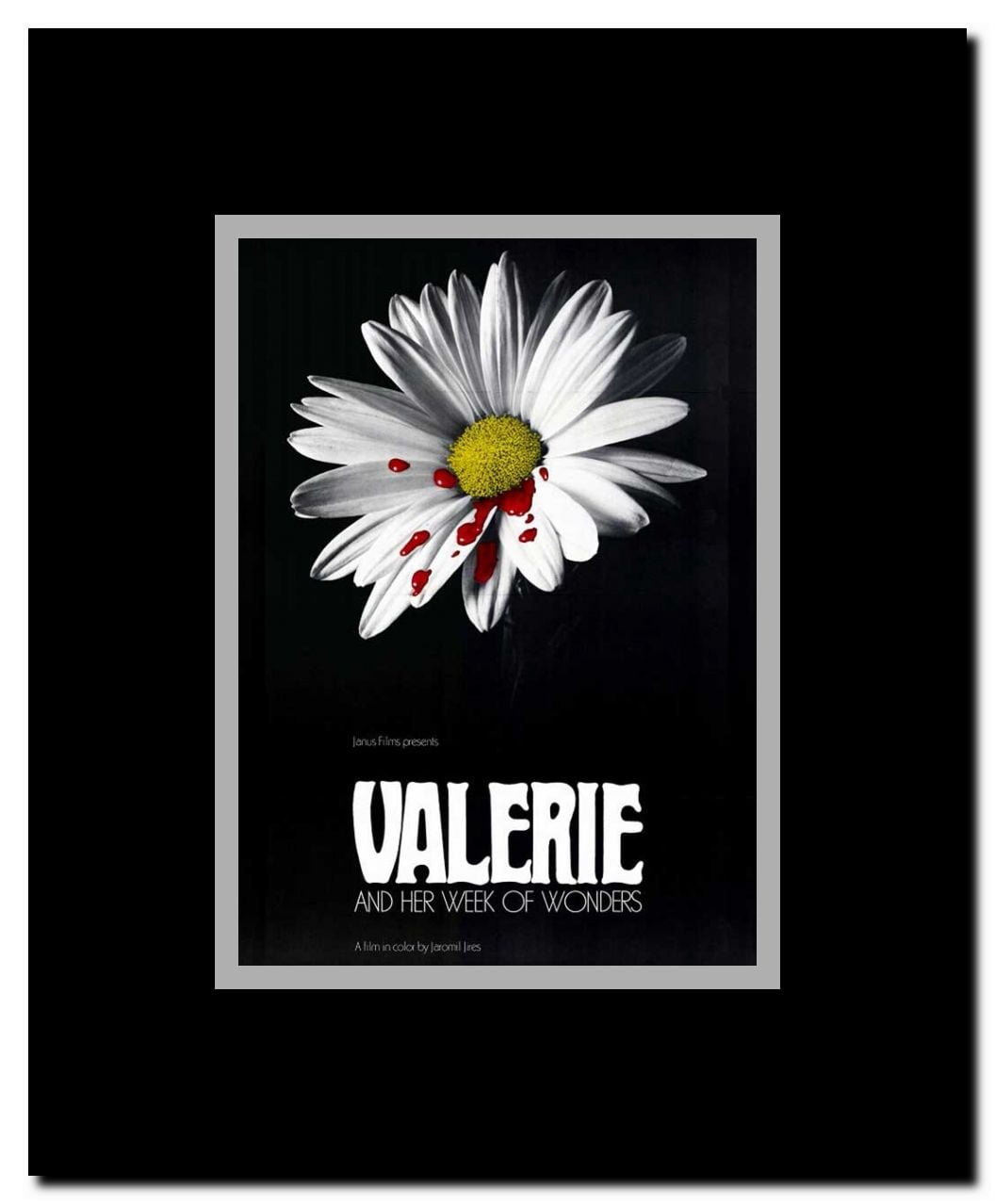 Valerie And Her Week Of Wonders Framed Movie Poster