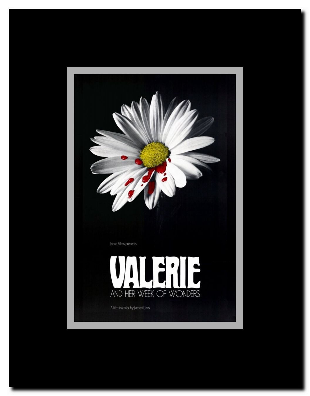 Valerie And Her Week Of Wonders Framed Movie Poster