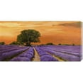 thumbnail image 1 of Valerio Sella 'Campo al tramonto' Stretched Canvas, 1 of 1