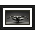 thumbnail image 1 of Valevicius, Aurimas 24x15 Black Ornate Wood Framed with Double Matting Museum Art Print Titled - Deep Bow 6156, 1 of 4