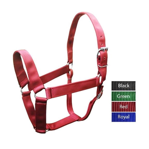 Valhoma 1991-BK Draft Horse Extra Wide Halter, Black