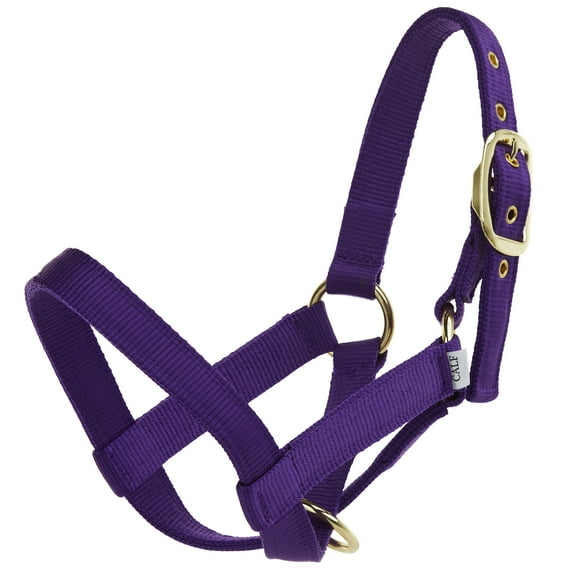 Valhoma Calf Halter