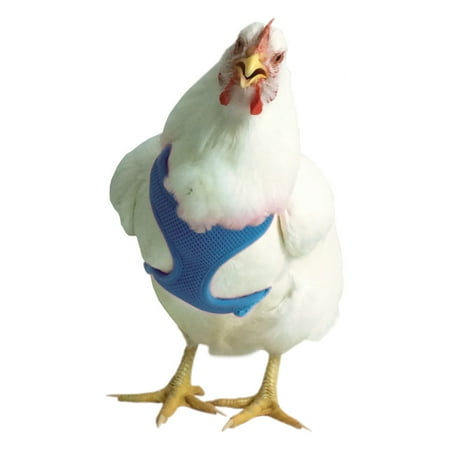 Valhoma Chicken Harness Nylon Small/Hen, Leash Sold Separately, Multi-Color, S