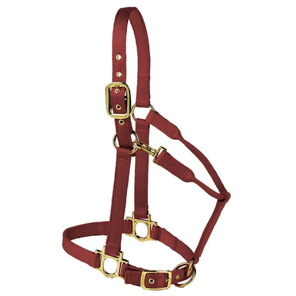 Valhoma Premium Adjustable Nylon Halter, Large, Burgundy