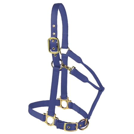 Valhoma Premium Adjustable Nylon Halter, Large, Navy