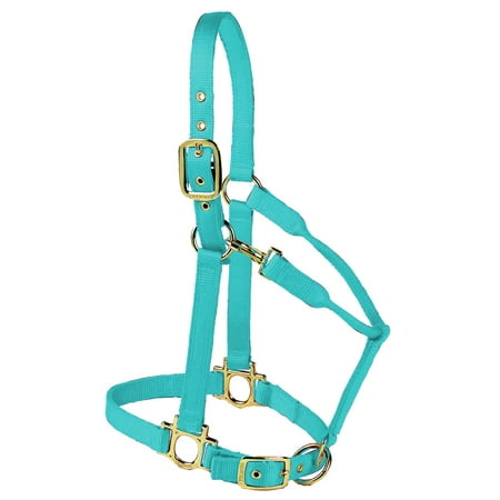 Valhoma Premium Adjustable Nylon Halter, Medium, Turquoise