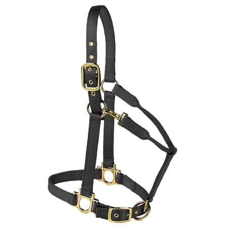Valhoma Premium Adjustable Nylon Halter, Small, Black