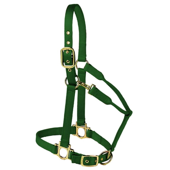 Valhoma Premium Adjustable Nylon Halter, Small, Hunter Green