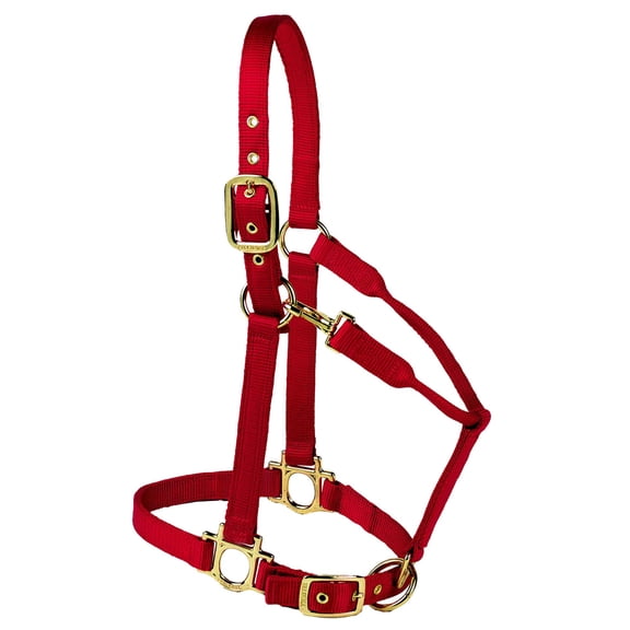 Valhoma Premium Adjustable Nylon Halter, Small, Red