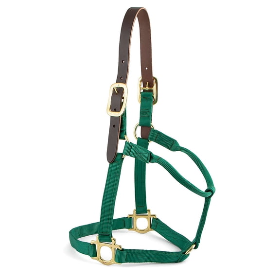Valhoma Premium Breakaway Nylon Halter with Leather Crown, Small, Green
