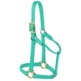 thumbnail image 1 of Valhoma Premium Nylon Halter, Large, Turquoise, 1 of 1