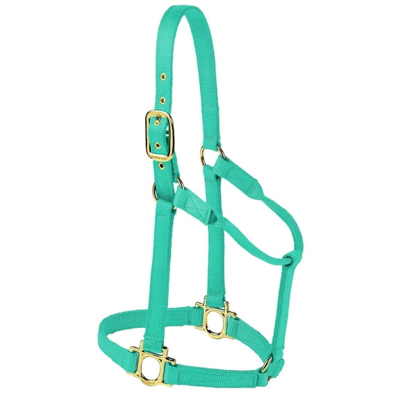 Valhoma Premium Nylon Halter, Large, Turquoise