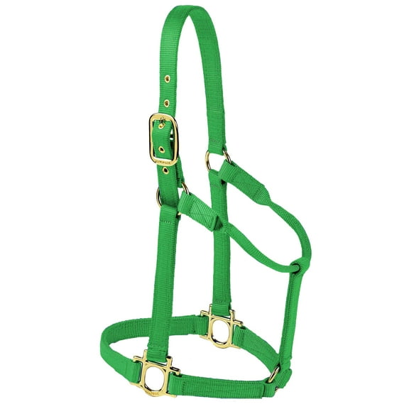 Valhoma Premium Nylon Halter, Medium, Green