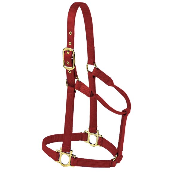Valhoma Premium Nylon Halter, Small, Burgundy