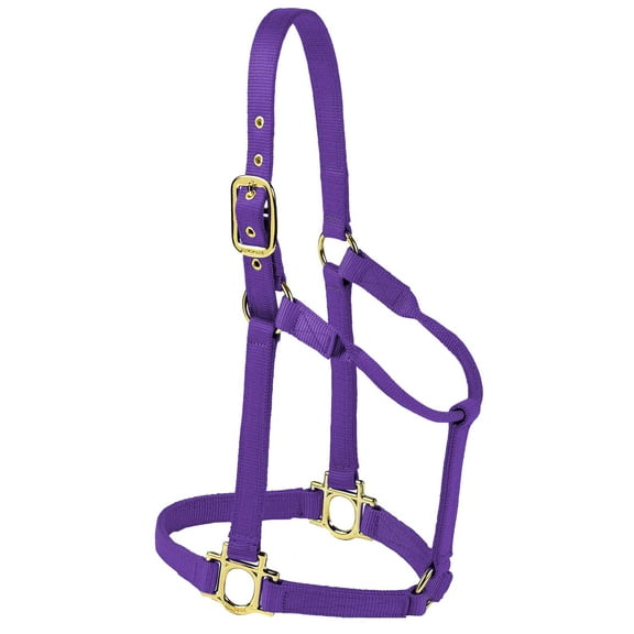 Valhoma Premium Nylon Halter, Small, Purple