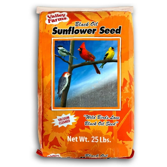 Valley Farms Black Oil Sunflower Seed Wild Bird Food