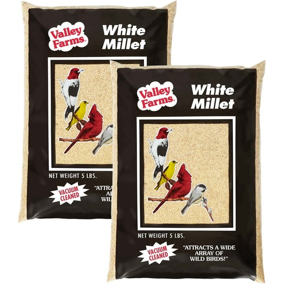 Valley Farms White Millet Wild Bird Food