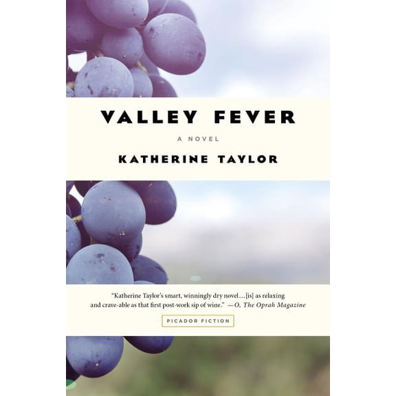 Valley Fever : A Novel (Paperback)