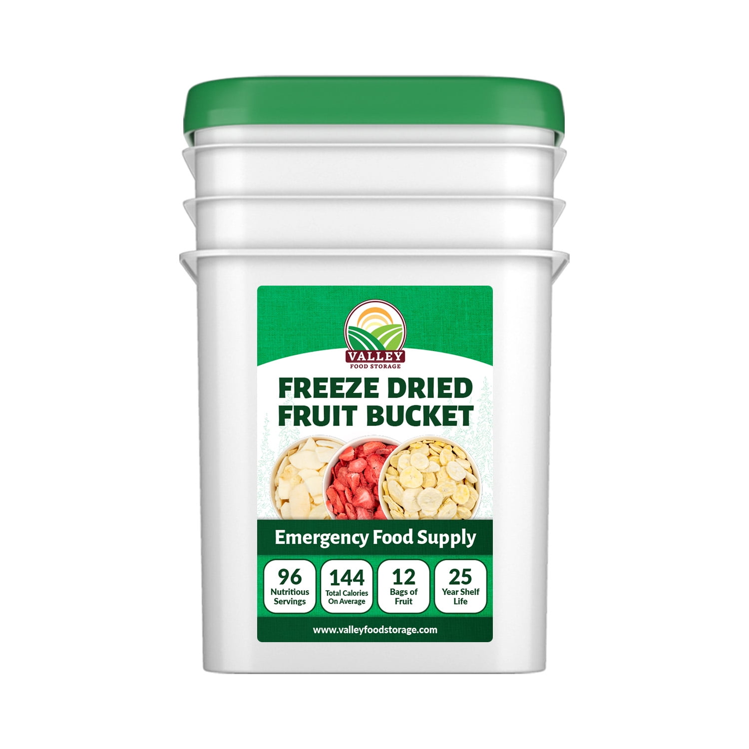 Valley Food Storage Freeze Dried Fruit Bucket, 12 Bags, 25 Year Shelf ...