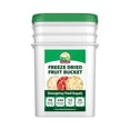 thumbnail image 1 of Valley Food Storage Freeze Dried Fruit Bucket, 12 Bags, 25 Year Shelf Life, 1 of 6