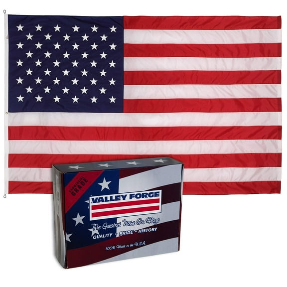 Valley Forge 10221000 American Flag, 10'x15', Multi color