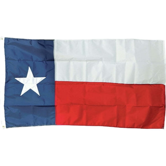 Valley Forge Texas State Flag Nylon Outdoor Flag - UV Resistant - 3' x 5' Multicolor