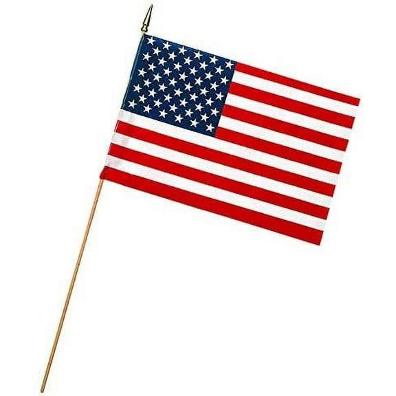 Valley Forge Flag 48 Piece Display 12in. X 18in. US Stick Flags USE12D - Pack of 48