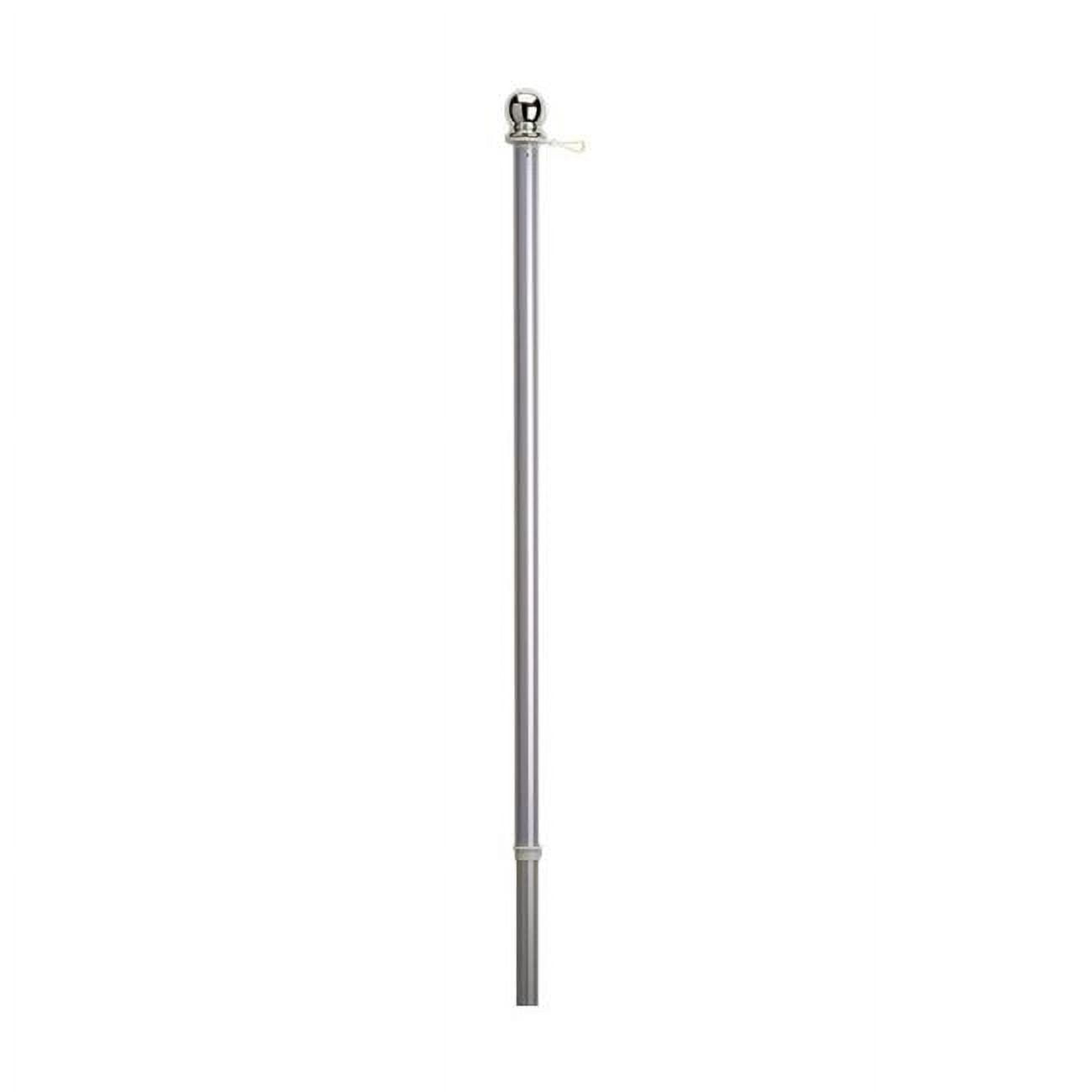 Valley Forge 5 ft. Brushed Aluminum Flag Pole with Sleeve
