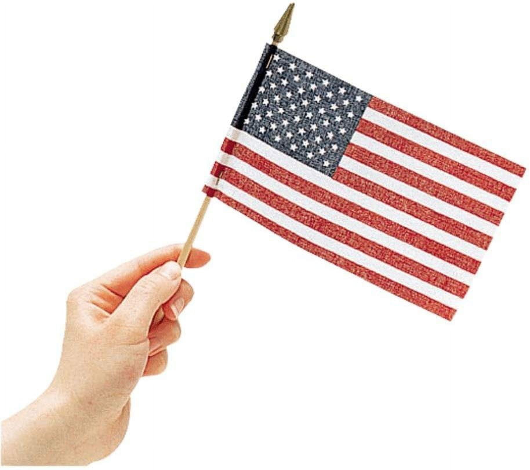 Valley Forge Flag USE4D 4