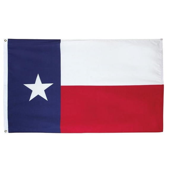 Valley Forge Texas State Flag 36 in. H X 60 in. W
