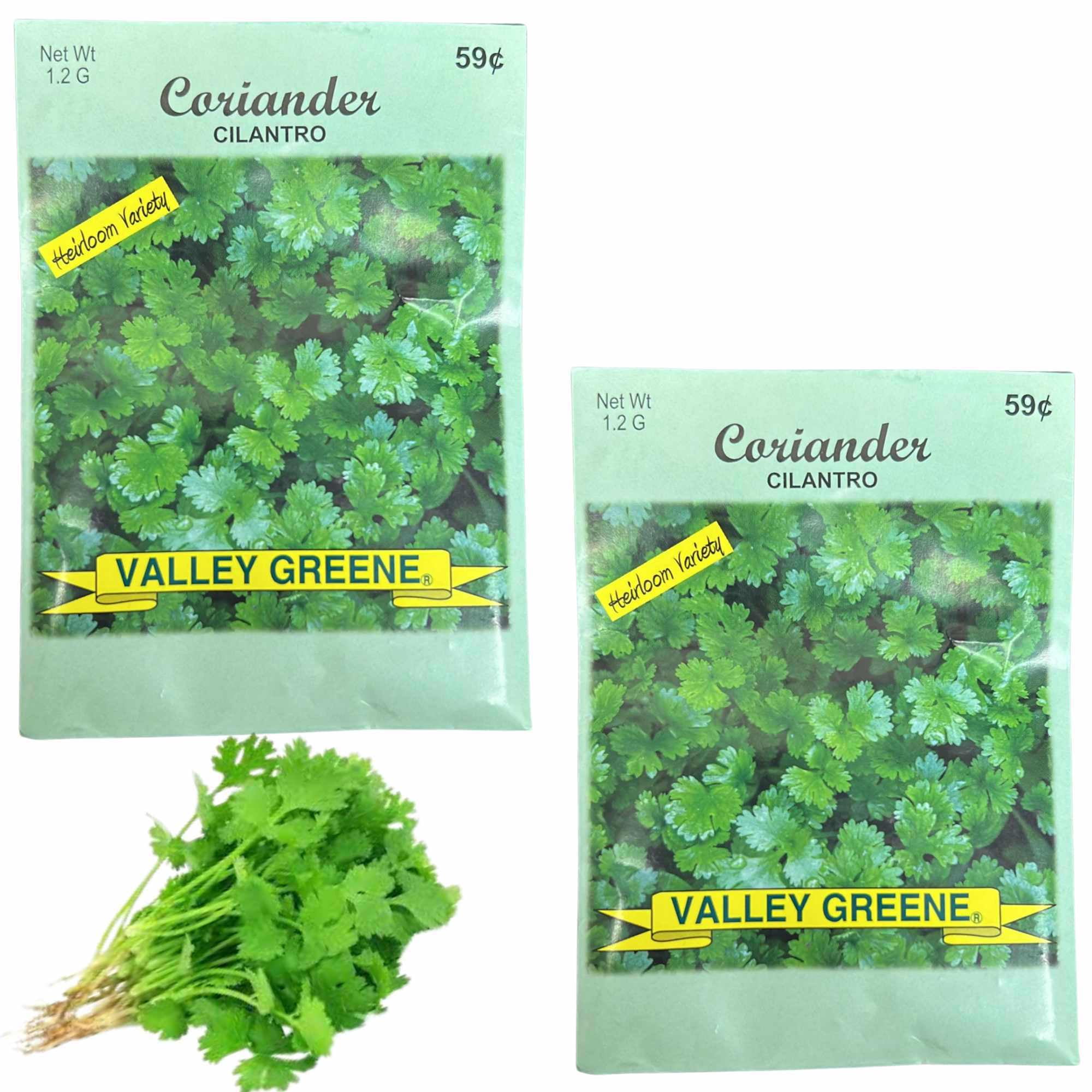 Valley Greene 1.2g Coriander Seeds  Cilantro:2CT - Walmart.com