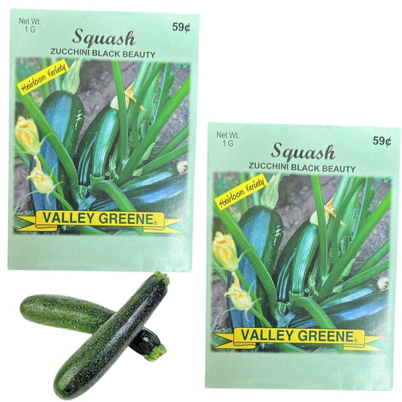 Valley Greene 1g Squash Zucchini Black Beauty Seeds : 2CT