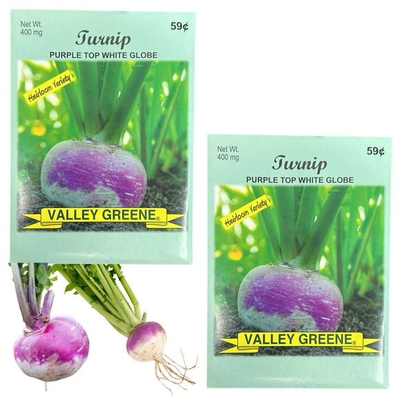 Valley Greene 400mg Turnip Seeds. Purple Top White Globe Variety : 2CT