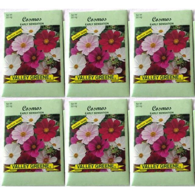 Valley Greene (6 Pack) 350 mg/Package Cosmos Heirloom Variety Seeds