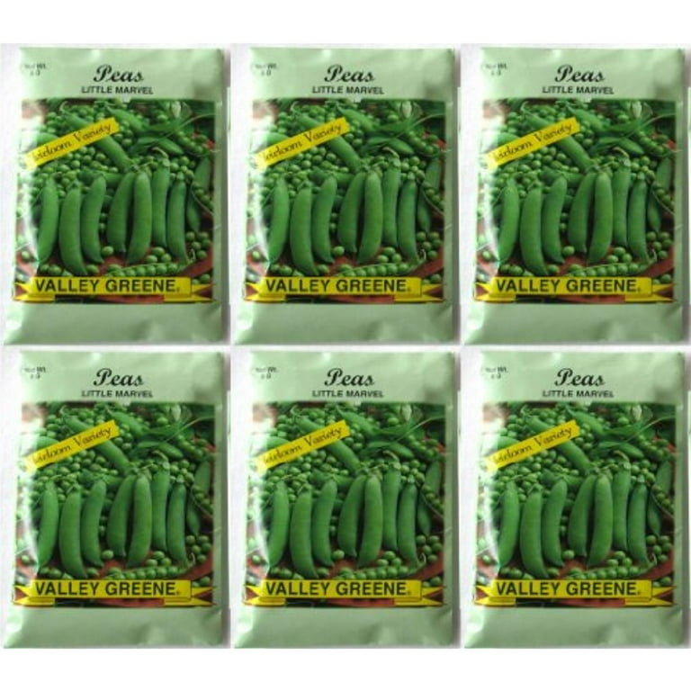 Valley Greene (6 Pack) Little Marvel Peas 6 gram/Package