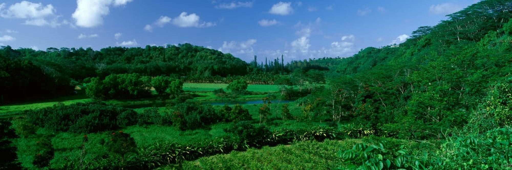 Valley Off Of Route 56 Kauai Hawaii Canvas Art - Panoramic Images (27 x 9)