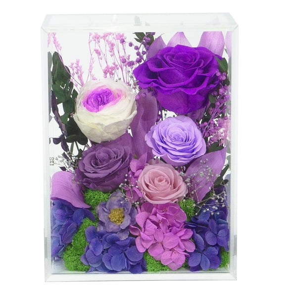 Valley of Rain & Forest Long-Lasting Real Flowers, Handcrafted Preserved Rose Bush For you to Send Love for All Occasions, Floral Arrangement for Indoor Decoration (Dark Purple Rose) Y101