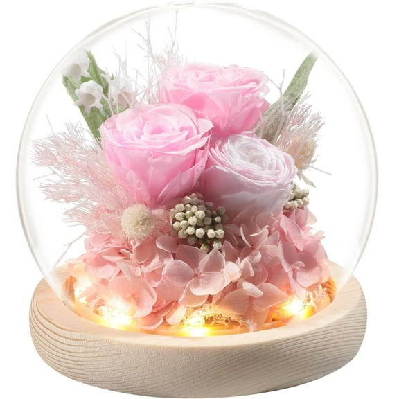 Valley of Rain & Forest Long-Lasting Real Flowers, Unique Floral Gift for You to Send Love for All Occasions, Womens Gifts for Christmas Birthday Gifts Forever Flowers Roses Gifts-（Pink)