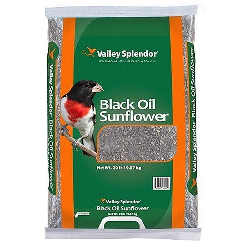 Valley Splendor Black Oil Sunflower Seeds, 20 lbs