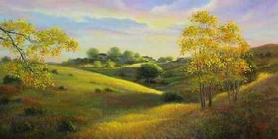 Valley View Canvas Art - Sambataro (10 x 20)