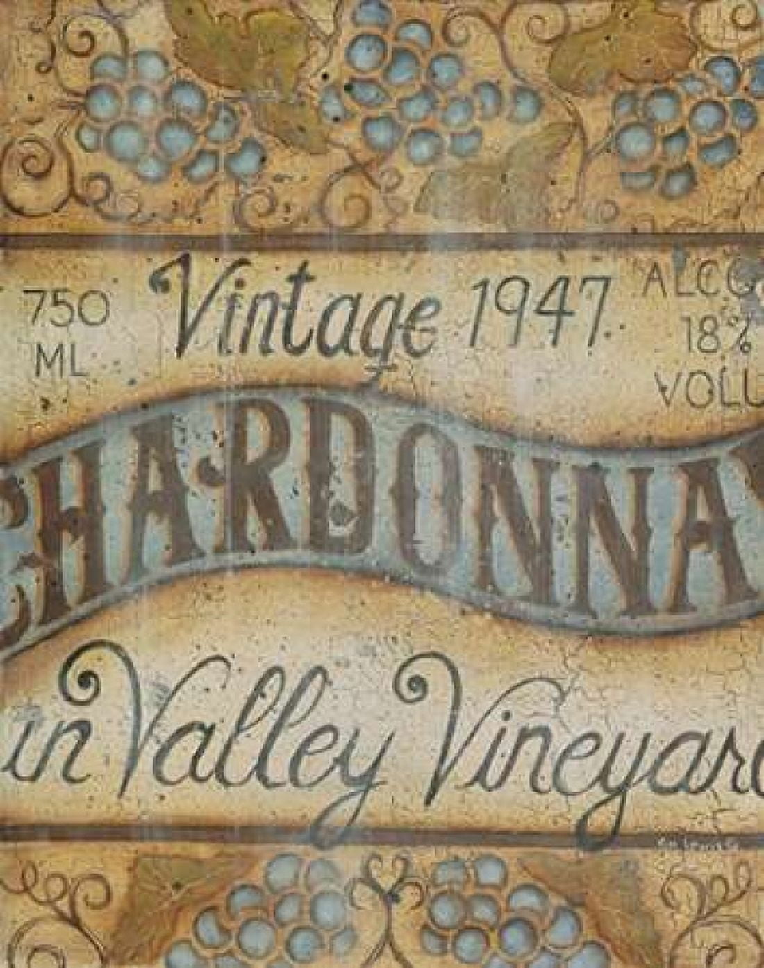 Valley Vineyard I Canvas Art - Kim Lewis (22 x 28)