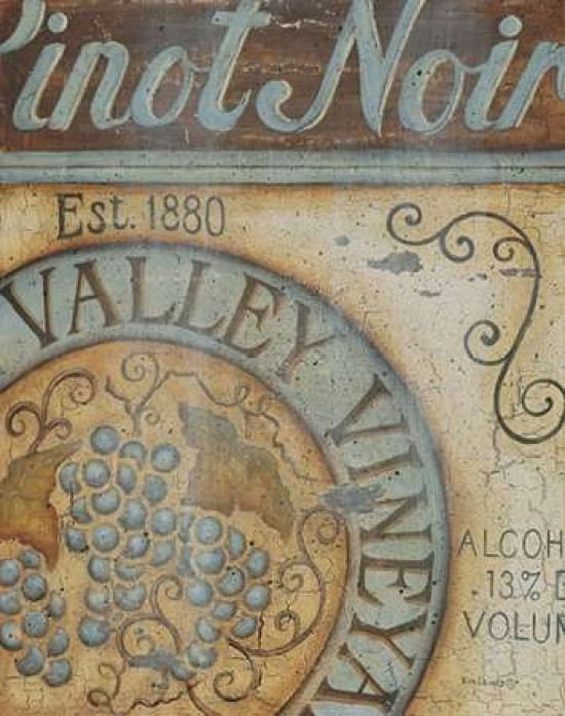 Valley Vineyard II Canvas Art - Kim Lewis (22 x 28)