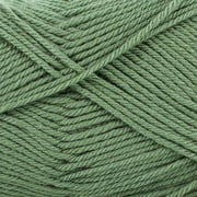 Valley Yarns Haydenville Worsted Weight Yarn (60% Superwash Merino Wool/ 40% Acrylic Microfiber) - #18 Sage
