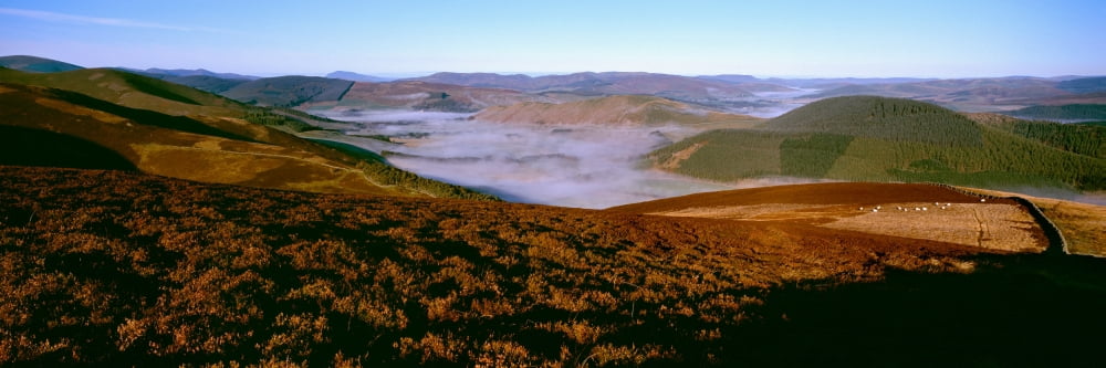 Valley at morning mist Cademuir Hill Manor Valley Peeblesshire Scottish Borders Scotland Canvas Art - Panoramic Images (27 x 9)