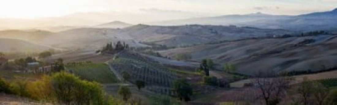 Valley at sunrise Val dOrcia Tuscany Italy Canvas Art - Panoramic Images (36 x 12)