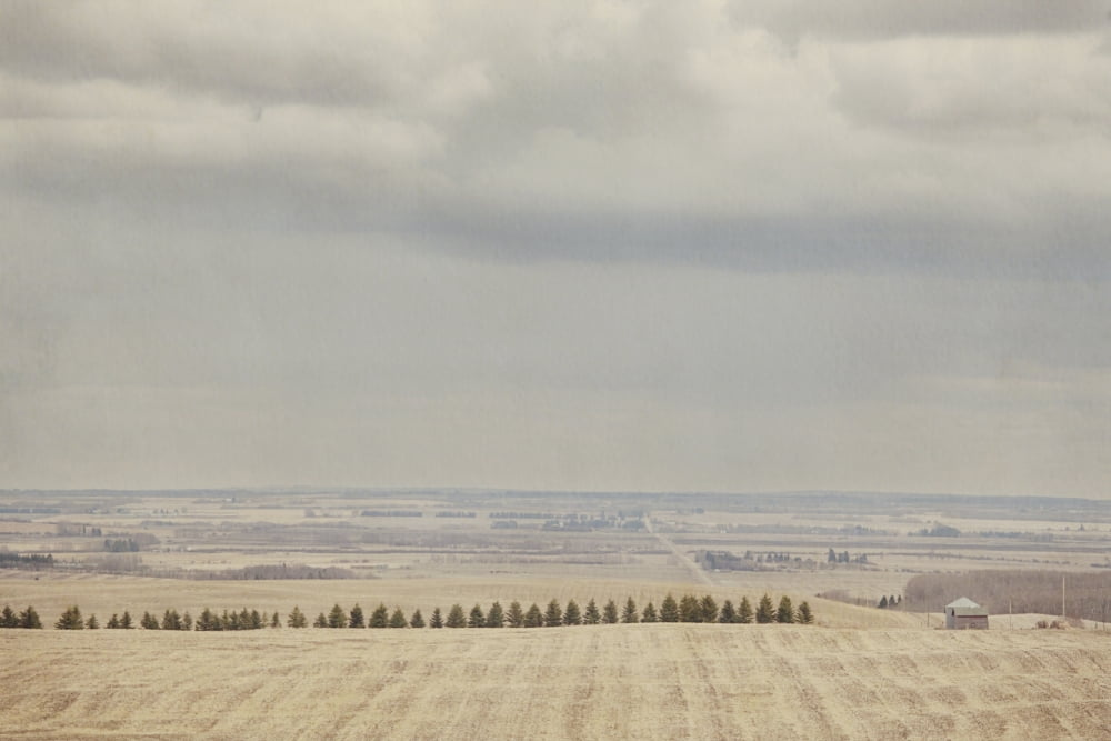 Valley farms on a hazy spring day in central alberta bently alberta canada Canvas Art - Roberta Murray Design Pics (38 x 24)